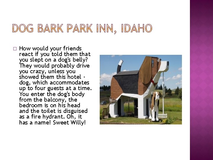 � How would your friends react if you told them that you slept on