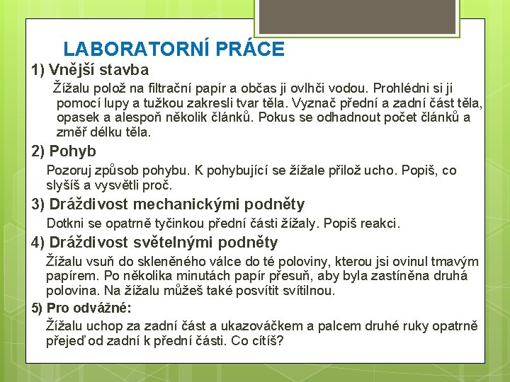 LABORATORNÍ PRÁCE 1) Vnější stavba Žížalu polož na filtrační papír a občas ji ovlhči