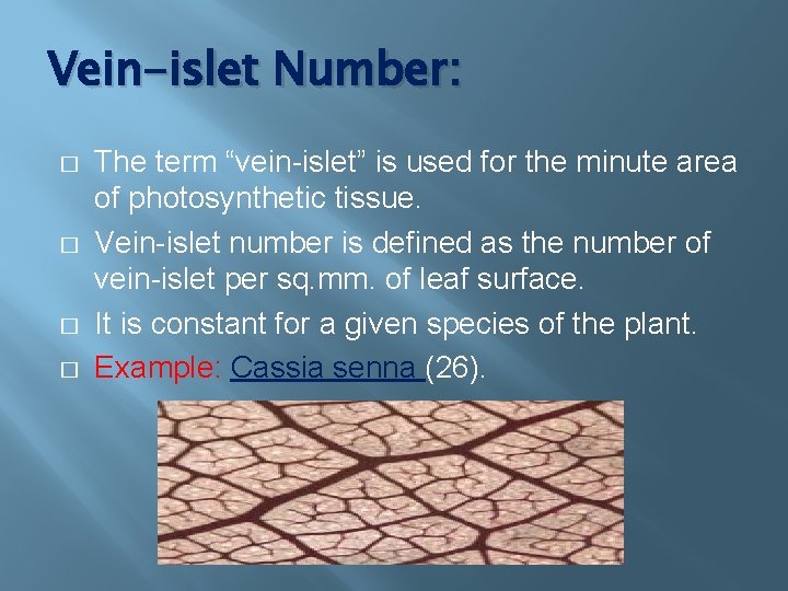 Vein-islet Number: � � The term “vein-islet” is used for the minute area of