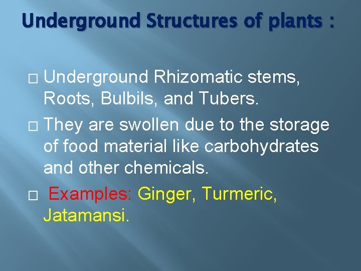 Underground Structures of plants : Underground Rhizomatic stems, Roots, Bulbils, and Tubers. � They