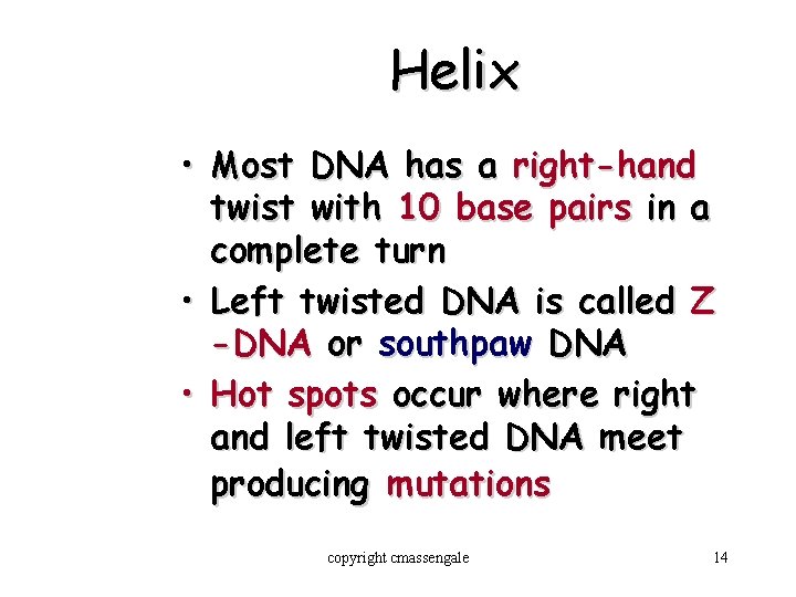 Helix • Most DNA has a right-hand twist with 10 base pairs in a