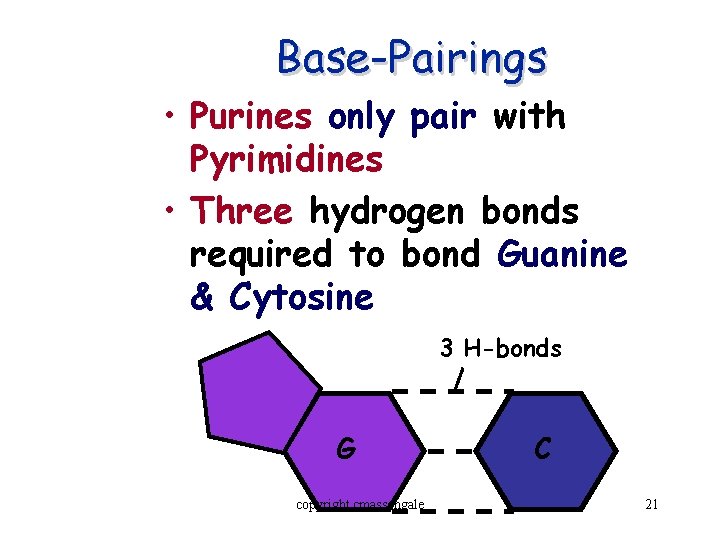 Base-Pairings • Purines only pair with Pyrimidines • Three hydrogen bonds required to bond