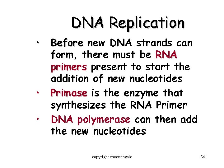 DNA Replication • • • Before new DNA strands can form, there must be