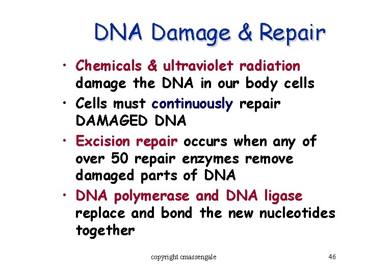 DNA Damage & Repair • Chemicals & ultraviolet radiation damage the DNA in our