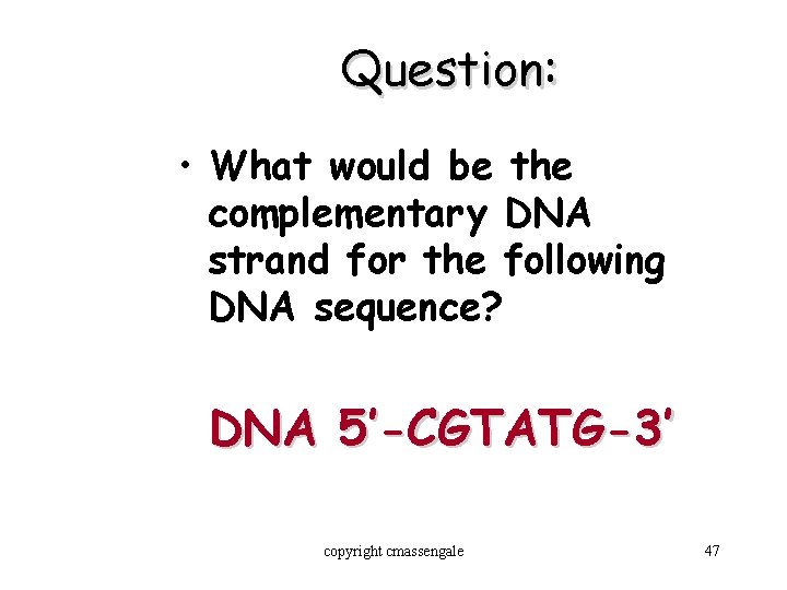 Question: • What would be the complementary DNA strand for the following DNA sequence?