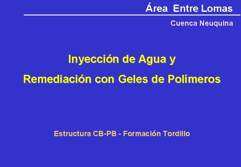 Área Entre Lomas Cuenca Neuquina Inyección de Agua y Remediación con Geles de Polímeros Área Entre Lomas Cuenca Neuquina Inyección de Agua y Remediación con Geles de Polímeros