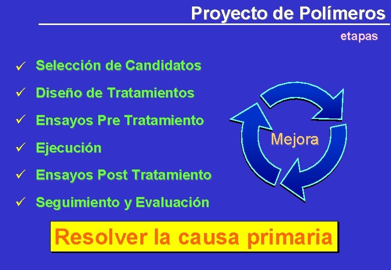 Proyecto de Polímeros etapas Selección de Candidatos Diseño de Tratamientos Ensayos Pre Tratamiento Ejecución Proyecto de Polímeros etapas Selección de Candidatos Diseño de Tratamientos Ensayos Pre Tratamiento Ejecución