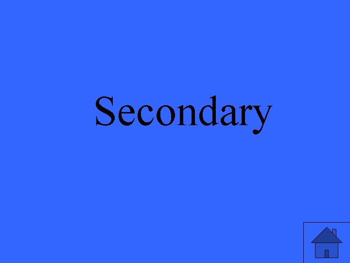 Secondary 