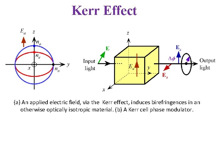 Kerr Effect (a) An applied electric field, via the Kerr effect, induces birefringences in