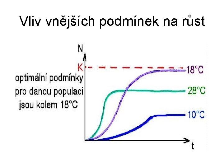 Vliv vnějších podmínek na růst 