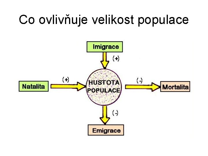 Co ovlivňuje velikost populace 