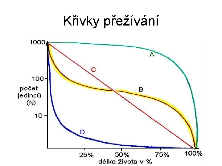 Křivky přežívání 