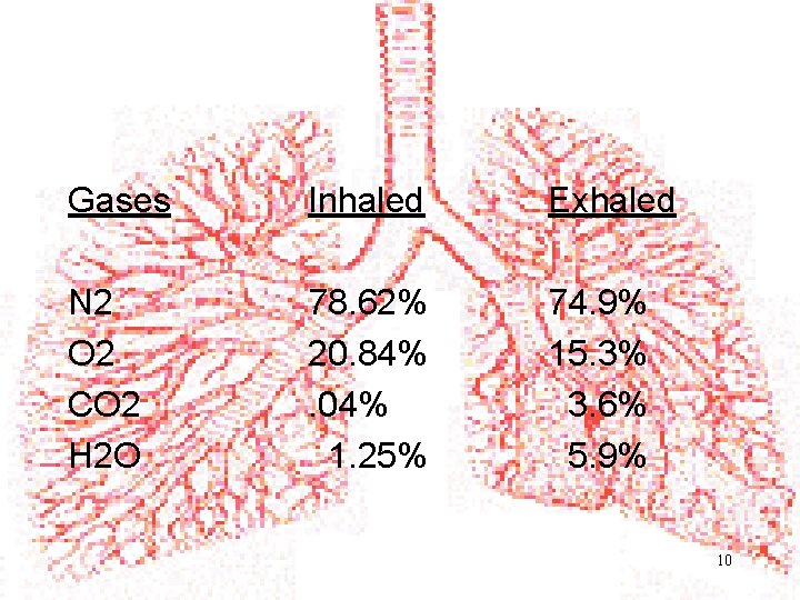 Gases Inhaled Exhaled N 2 O 2 CO 2 H 2 O 78. 62%