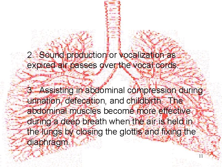 2. Sound production or vocalization as expired air passes over the vocal cords. 3.