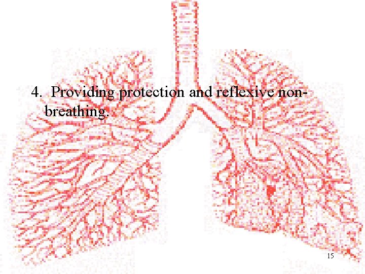 4. Providing protection and reflexive nonbreathing. 15 