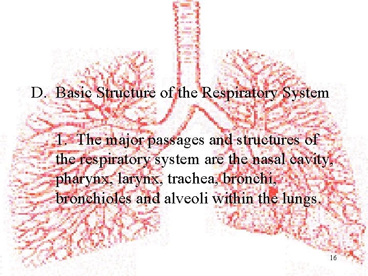 D. Basic Structure of the Respiratory System 1. The major passages and structures of