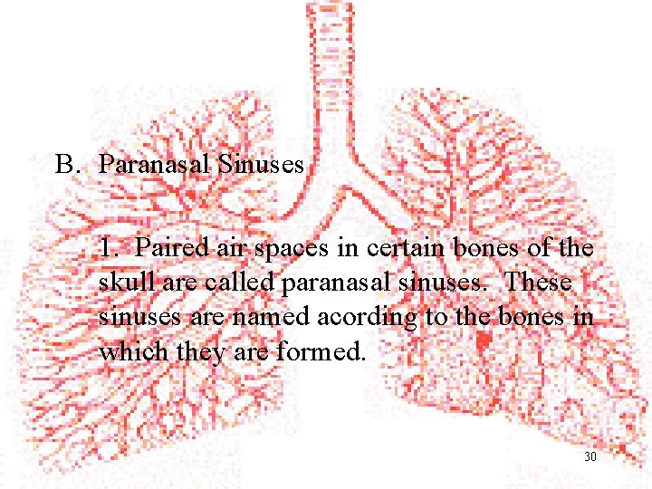 B. Paranasal Sinuses 1. Paired air spaces in certain bones of the skull are
