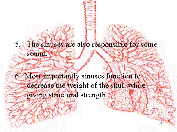 5. The sinuses are also responsible for some sound. 6. Most importantly sinuses function