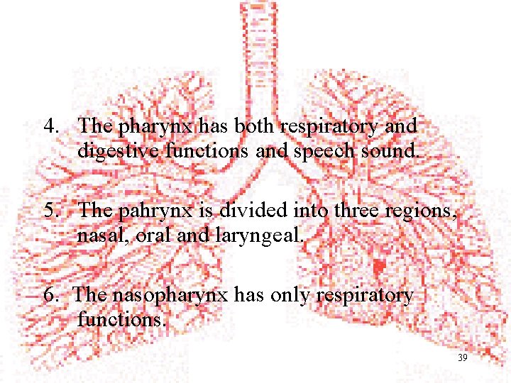 4. The pharynx has both respiratory and digestive functions and speech sound. 5. The