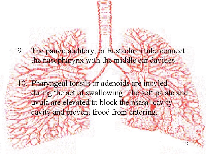 9. The paired auditory, or Eustachian tube connect the nasopharynx with the middle ear