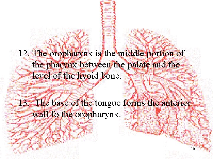 12. The oropharynx is the middle portion of the pharynx between the palate and