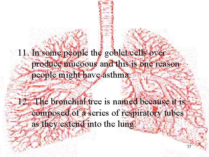 11. In some people the goblet cells over produce mucoous and this is one