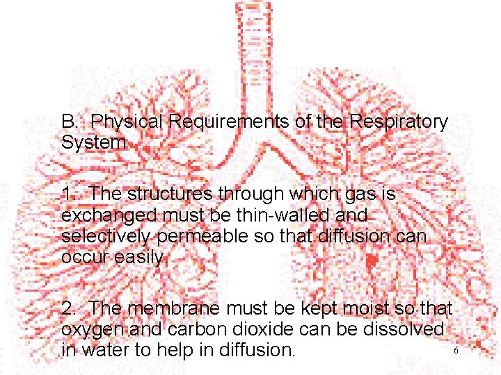 B. Physical Requirements of the Respiratory System 1. The structures through which gas is