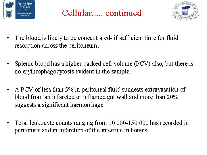 Cellular. . . continued • The blood is likely to be concentrated- if sufficient Cellular. . . continued • The blood is likely to be concentrated- if sufficient