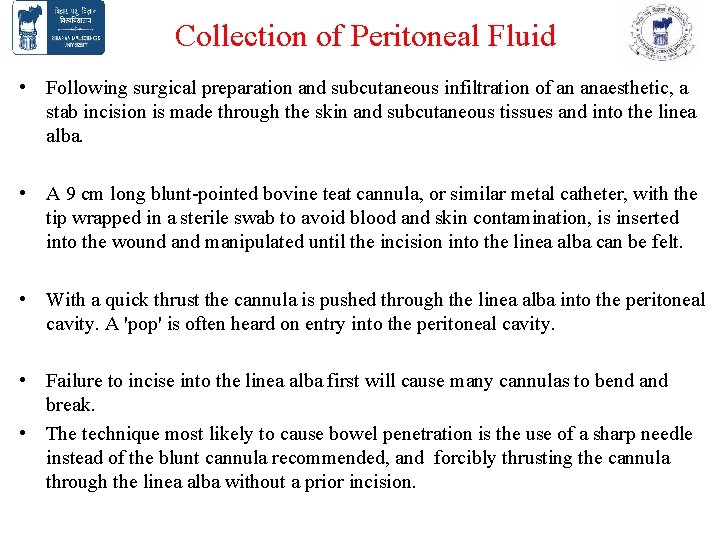 Collection of Peritoneal Fluid • Following surgical preparation and subcutaneous infiltration of an anaesthetic, Collection of Peritoneal Fluid • Following surgical preparation and subcutaneous infiltration of an anaesthetic,