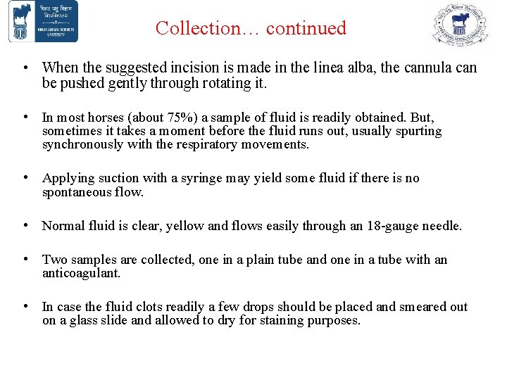 Collection… continued • When the suggested incision is made in the linea alba, the Collection… continued • When the suggested incision is made in the linea alba, the