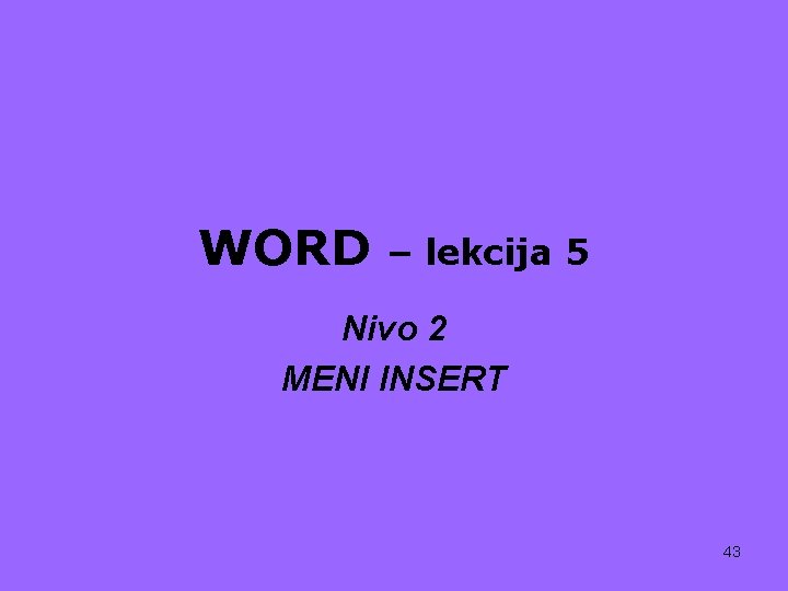 WORD – lekcija 5 Nivo 2 MENI INSERT 43 
