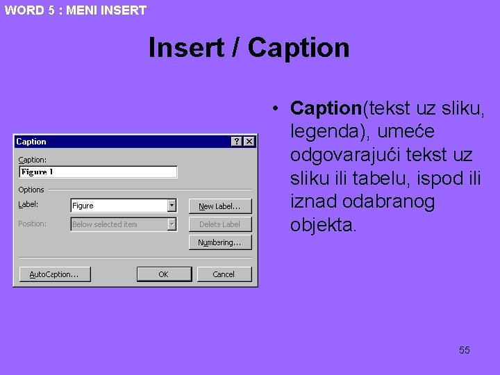 WORD 5 : MENI INSERT Insert / Caption • Caption(tekst uz sliku, legenda), umeće