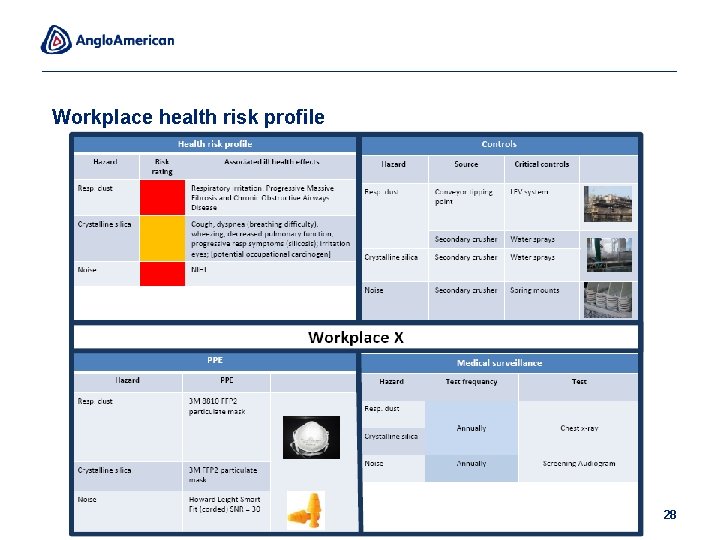 Workplace health risk profile 28 