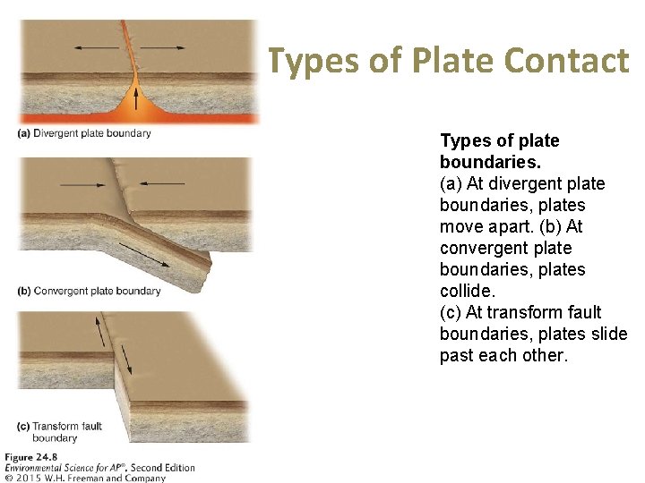 Types of Plate Contact Types of plate boundaries. (a) At divergent plate boundaries, plates