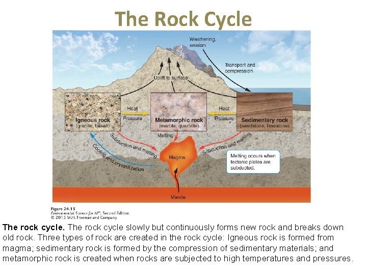 The Rock Cycle The rock cycle slowly but continuously forms new rock and breaks