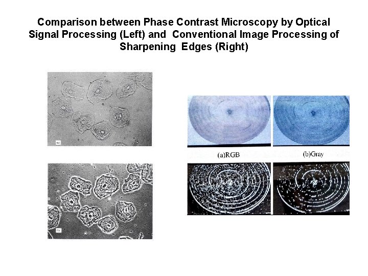 Comparison between Phase Contrast Microscopy by Optical Signal Processing (Left) and Conventional Image Processing