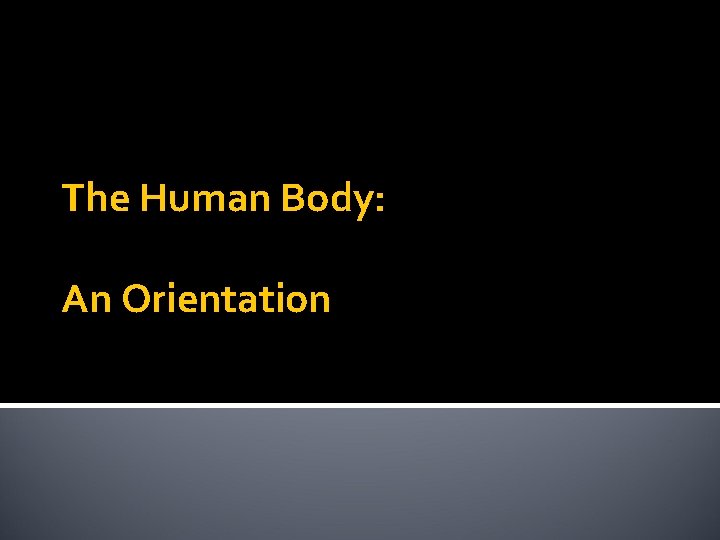 The Human Body: An Orientation 
