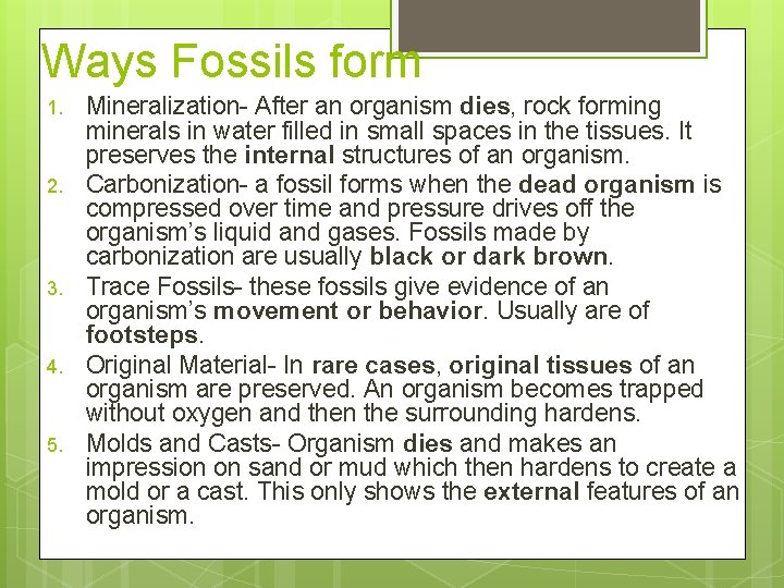 Ways Fossils form 1. 2. 3. 4. 5. Mineralization- After an organism dies, rock