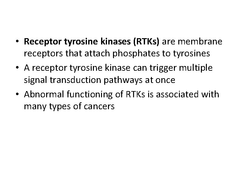  • Receptor tyrosine kinases (RTKs) are membrane receptors that attach phosphates to tyrosines