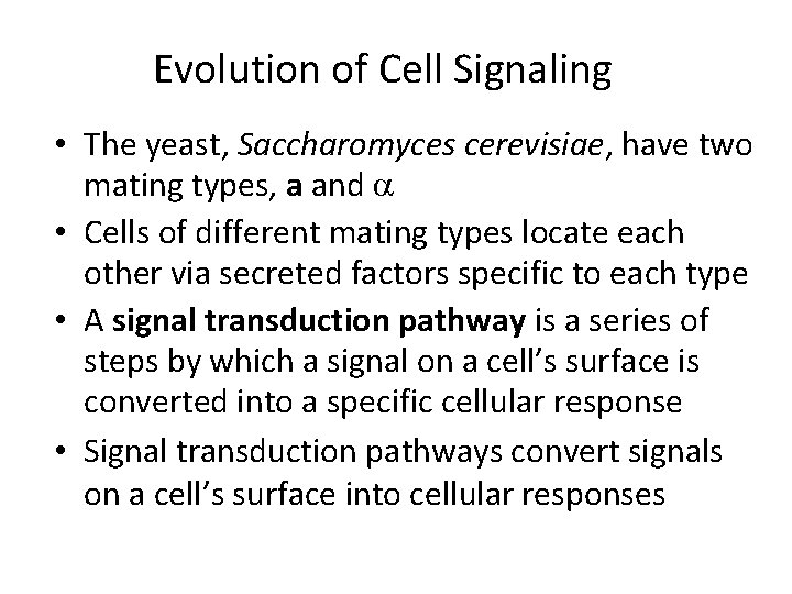 Evolution of Cell Signaling • The yeast, Saccharomyces cerevisiae, have two mating types, a