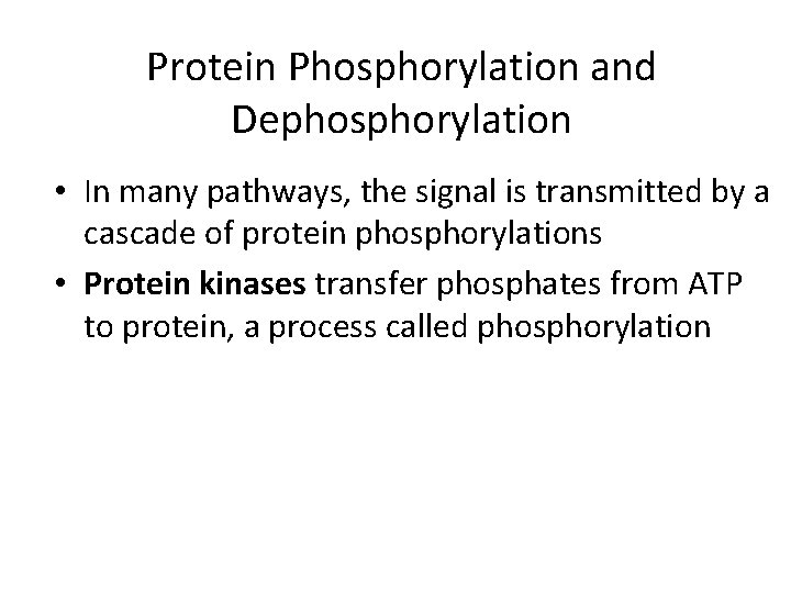 Protein Phosphorylation and Dephosphorylation • In many pathways, the signal is transmitted by a