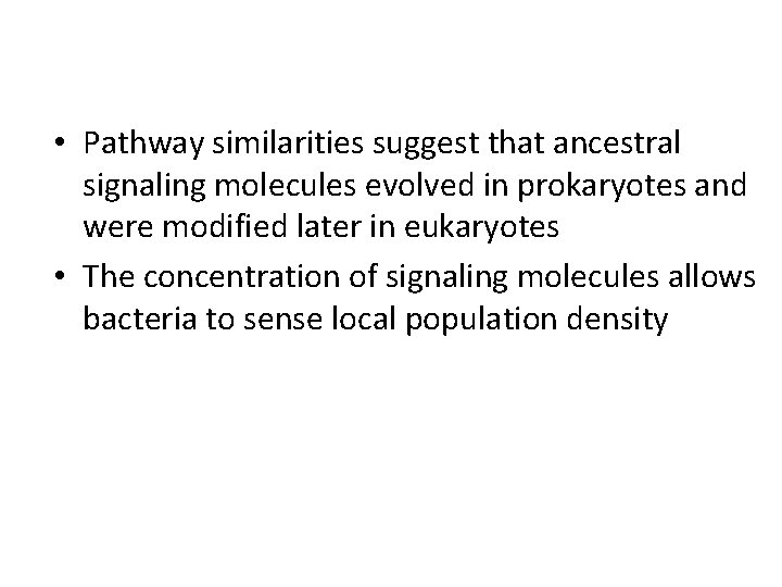  • Pathway similarities suggest that ancestral signaling molecules evolved in prokaryotes and were