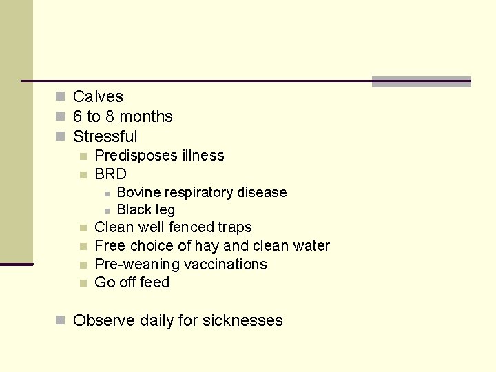  Calves 6 to 8 months Stressful Predisposes illness BRD Bovine respiratory disease Black