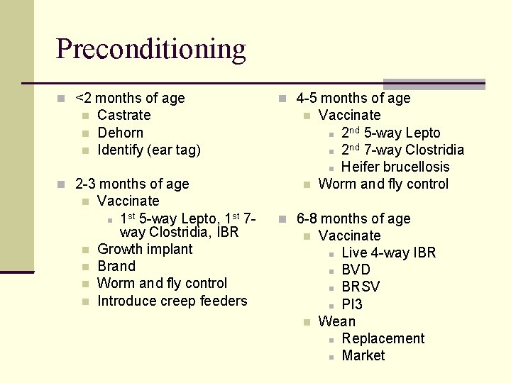 Preconditioning <2 months of age Castrate Dehorn Identify (ear tag) 2 -3 months of