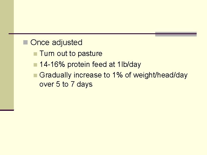  Once adjusted Turn out to pasture 14 -16% protein feed at 1 lb/day