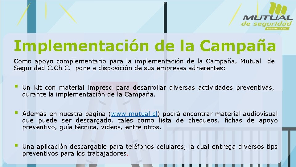 Implementación de la Campaña Como apoyo complementario para la implementación de la Campaña, Mutual