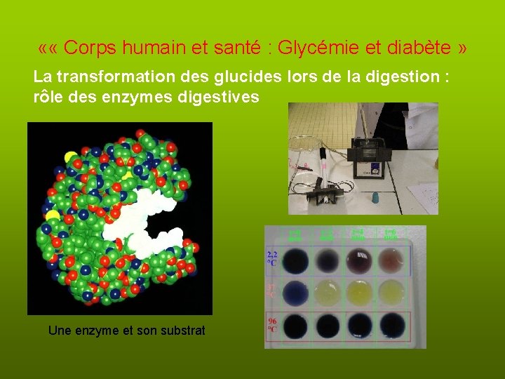  « « Corps humain et santé : Glycémie et diabète » La transformation
