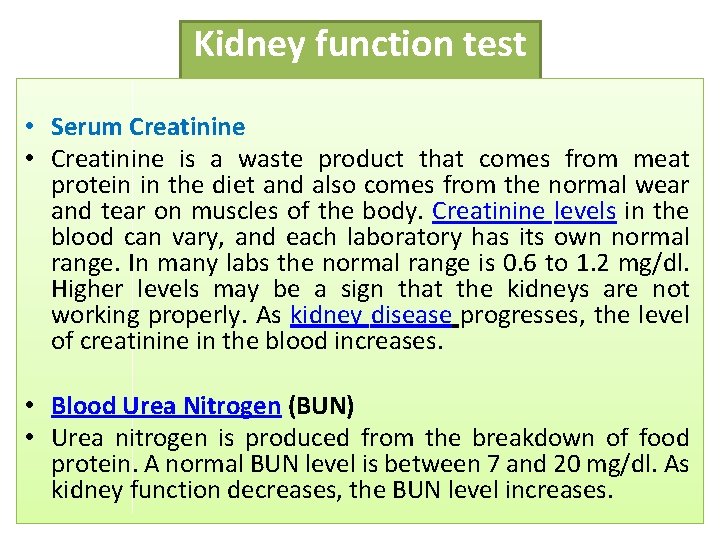 Kidney function test • Serum Creatinine • Creatinine is a waste product that comes