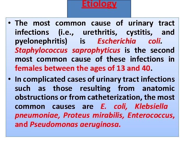 Etiology • The most common cause of urinary tract infections (i. e. , urethritis,