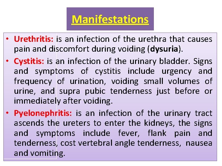 Manifestations • Urethritis: is an infection of the urethra that causes pain and discomfort